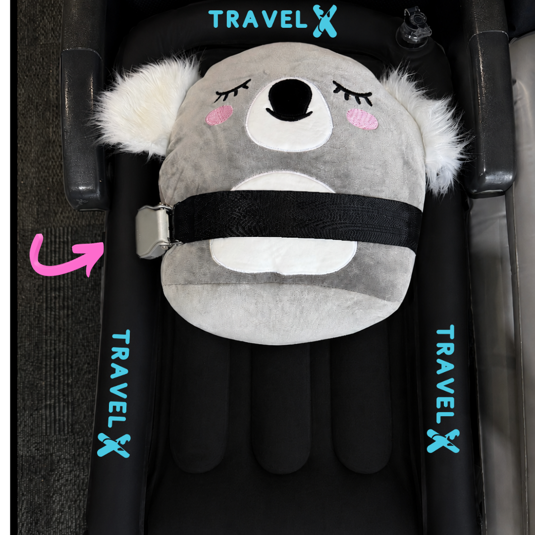 Plane Seat Belt Extender
